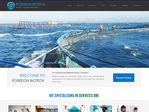 web design company in pondicherry